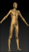 Full body 3D scan of nude Denis